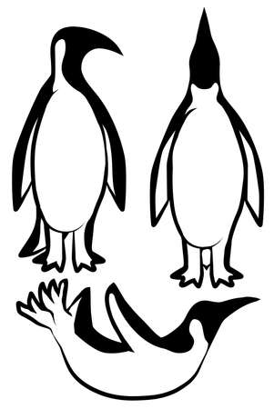 Penguin bird poses cartoon design element set, isolated vector, black and white, verticalのイラスト素材