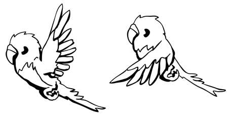 Budgerigar flying cartoon line drawing, vector, horizontal, black and white, isolatedのイラスト素材