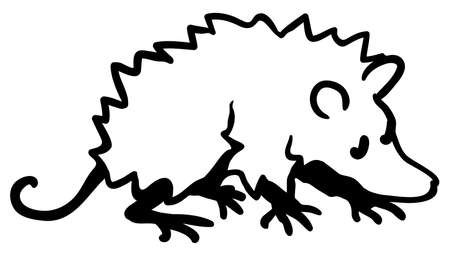 Possum cartoon line drawing, vector, horizontal, black and white, isolatedのイラスト素材