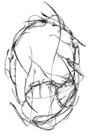 Ink black intricate oval shape abstract illustration, horizontal, isolated, over whiteの写真素材