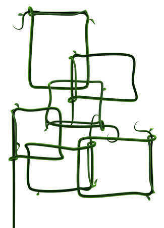 Plant vines green growing twisting empty box forms link, 3d illustration, vertical, isolated, over whiteの写真素材