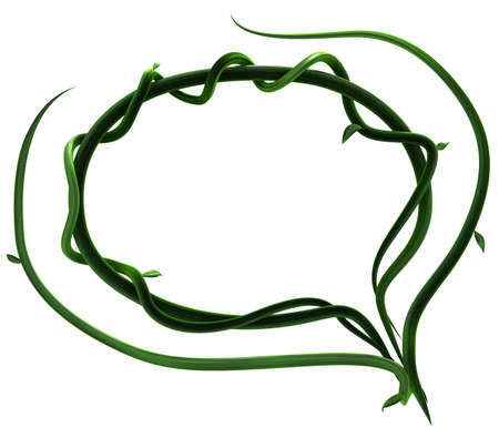 Plant vines green growing twisting empty speech bubble framed, 3d illustration, horizontal, isolated, over whiteの写真素材