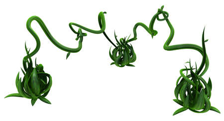 Plant vines green growing twisting budding three link attachment, 3d illustration, horizontal, isolated, over whiteの写真素材