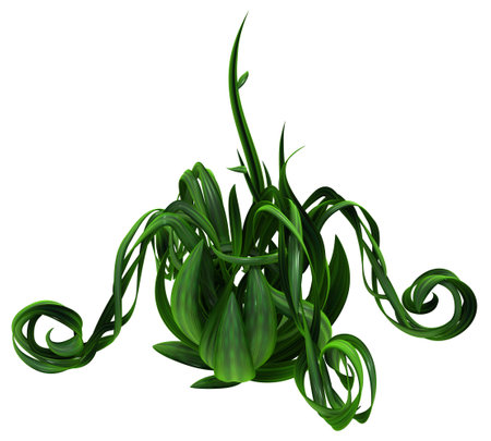 Plant vines green growing twisting budding four sides, 3d illustration, horizontal, isolated, over whiteの写真素材