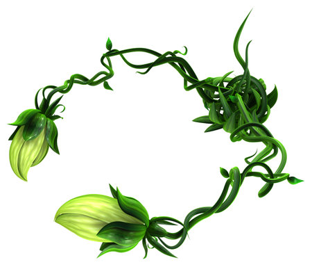 Plant growing green biting crab claws, 3d illustration, horizontal, isolated, over whiteの写真素材