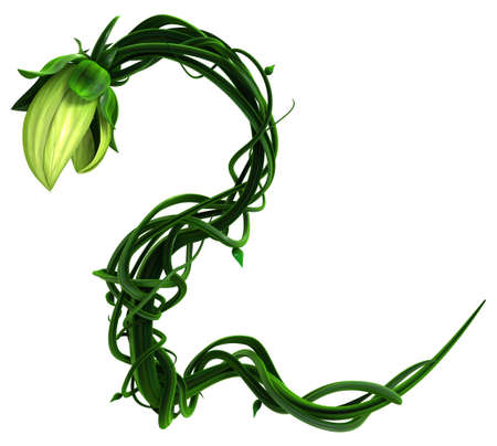 Plant growing green biting snake, 3d illustration, horizontal, isolated, over whiteの写真素材