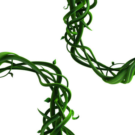 Plant vines green growing twisting thick corner loop, 3d illustration, horizontal, isolated, over whiteの写真素材
