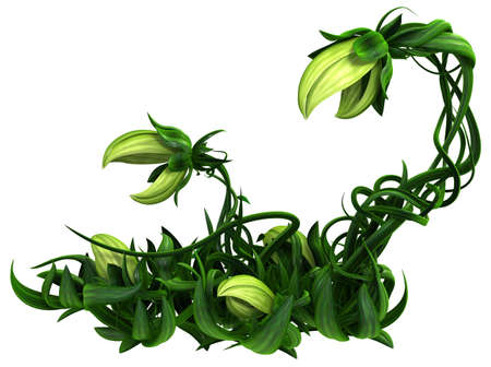 Plant growing green biting patch rising, 3d illustration, horizontal, isolated, over whiteの写真素材