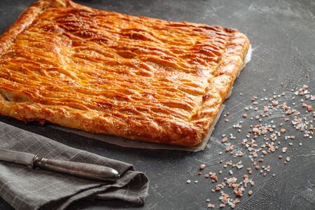 Appetizing fresh baked pie with beef meat and potato filling on the grey background, horizontalの写真素材