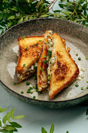 Gourmet appetizing breakfast sandwichesの写真素材