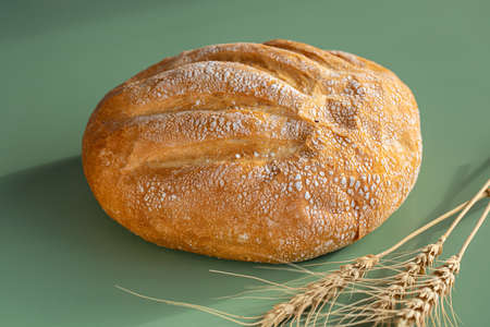Freshly baked loaf of creamy bread
