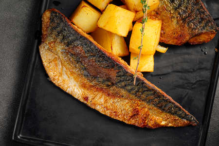 Roasted mackerel fillet with garnishの写真素材