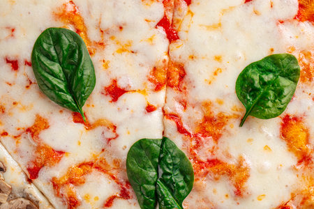 Closeup on italian margherita pizza with cheeseの写真素材