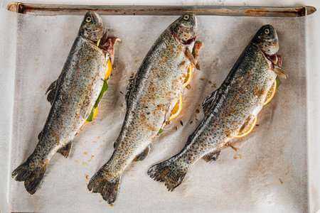 Raw stuffed fish prepared for cookingの写真素材