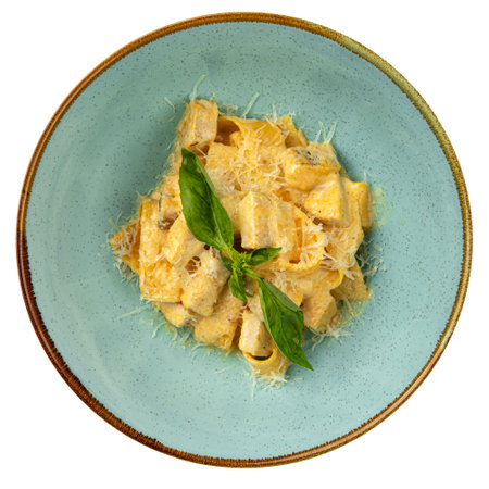 Portion of pappardelle pasta with chickenの写真素材
