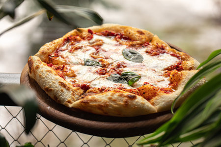 Portion of baked italian pizza margheritaの写真素材