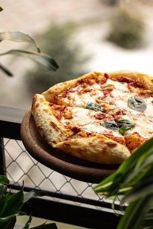 Portion of baked italian pizza margheritaの写真素材