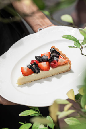 Portion of cheesecake dessert with berriesの写真素材