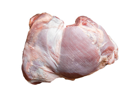 Isolated raw turkey fillet pieceの写真素材