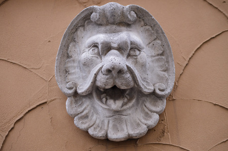 Lion Face on the orange wallの写真素材