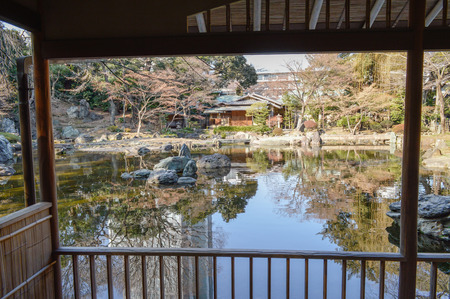Japan Garden with poolの写真素材
