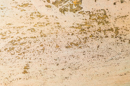 Plank wood texture, background