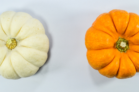 White and Yellow Pumpkin on white backgroundの写真素材