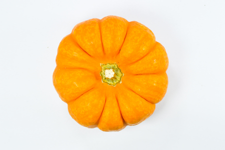 Yellow Pumpkin on white backgroundの写真素材