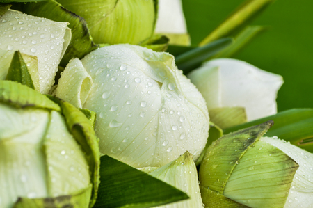 Chiang Rai, Thailand : December 29, 2016. Floral Offerings Festival 1st time of traditional merit making ceremony. The flower for merit makingのeditorial素材
