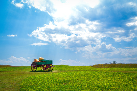 Landscape with sky and grass, cart with big pumpkinの写真素材