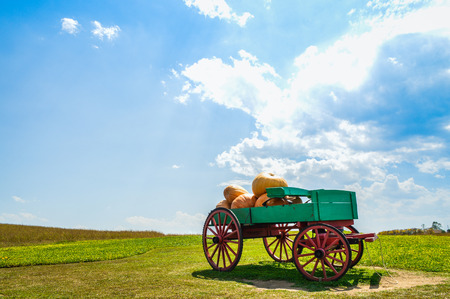 Landscape with sky and grass, cart with big pumpkinの写真素材