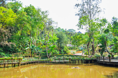 Chiang Rai, Thailand - April 6, 2017 : Doi Tung Royal Villa, The Mae Fah Luang Gardenのeditorial素材