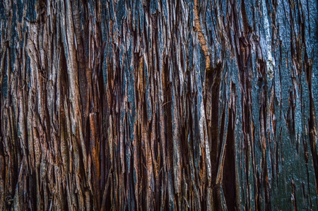 Plank wooden flaky with lots of notching, Texture and background