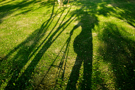 The shadow of photographer on grass field