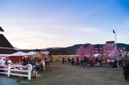 Chiang Rai, Thailand - November 30, 2017 : Farm Festival On The Hill 2017, the event in Singha Park Chiang Rai.のeditorial素材