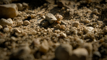 Close-up of gravel, grit, stone, sand on the ground.の写真素材