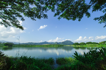 The Beautiful panormic view of marsh with trees mountain and blue sky.の写真素材