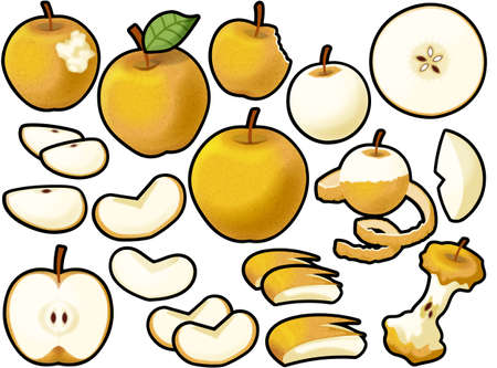 Various pears (with main line)の写真素材