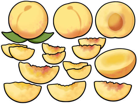 Various yellow peaches (with main line)の写真素材