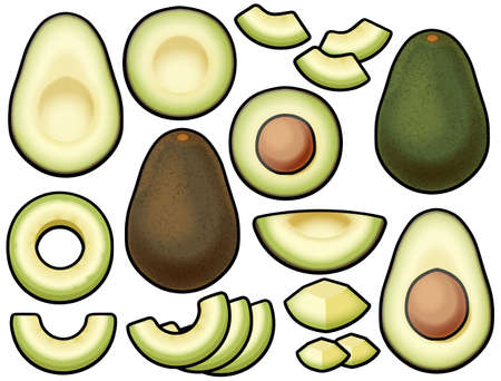 Various avocados (with main line)の写真素材