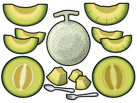 Melon of various blue meats (with main line)の写真素材