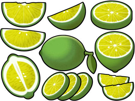 Various limes (with main line)の写真素材