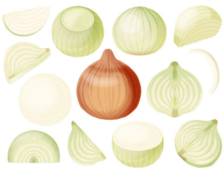 Various onionsの写真素材