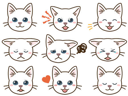 White cats with various facial expressionsのイラスト素材