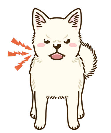 Menacing shiba inu(white coat color)のイラスト素材