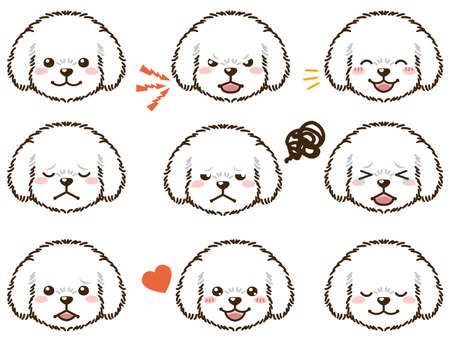 Poodle with various facial expressions(white coat color)のイラスト素材