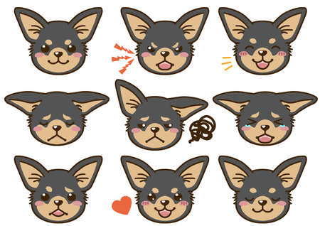 Chihuahua with various facial expressions(black and tan)のイラスト素材