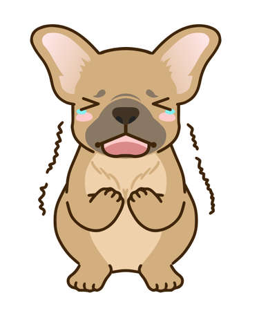 Frightened french bulldog(fawn coat color)のイラスト素材