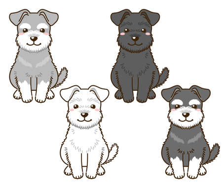 Schnauzer with various coat colorsのイラスト素材