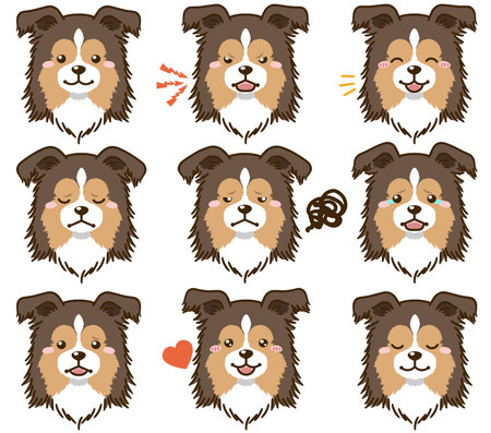 Shetland Sheepdog with various facial expressions(sable)のイラスト素材